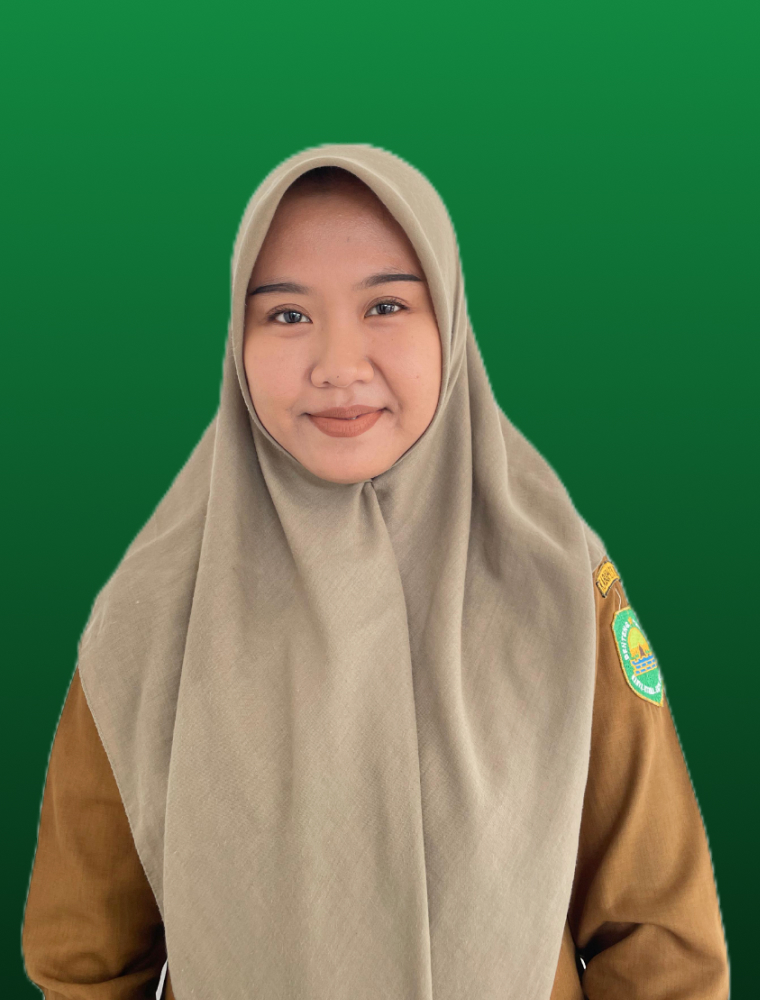 Erry Anisa