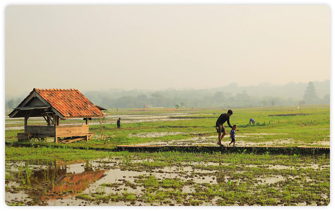 Desa Pabuaran  